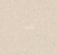 Линолеум Forbo Sphera Element 50055 powder фото 1 | FLOORDEALER